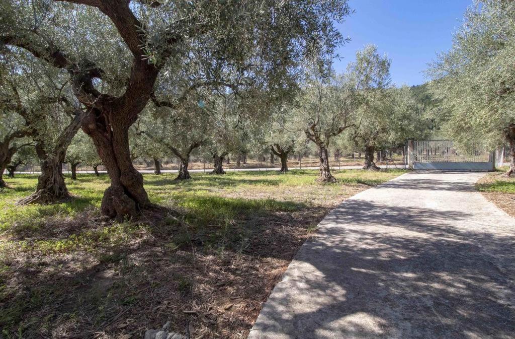 Manousi 2 - First Floor Vila Mystras Exterior foto